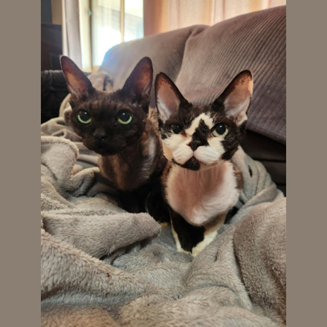 Photo of Diesel & Maggie