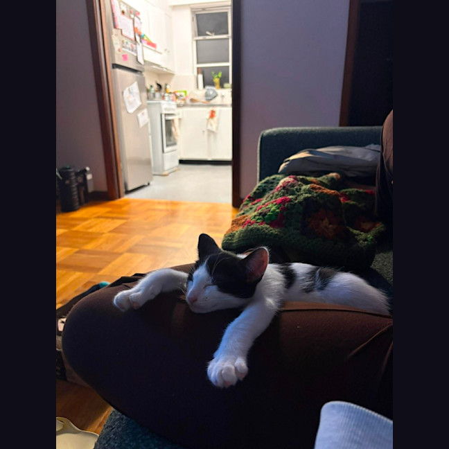 Photo of Louie
