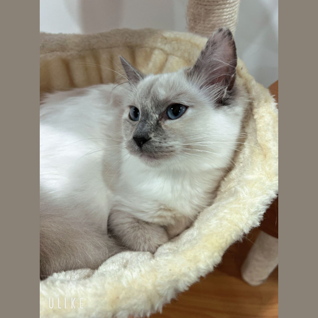 Photo of Elsa