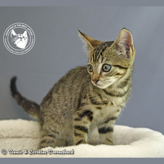 Photo of Millicent