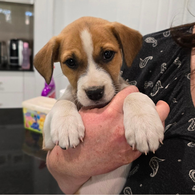 Photo of Lady Rainicorn