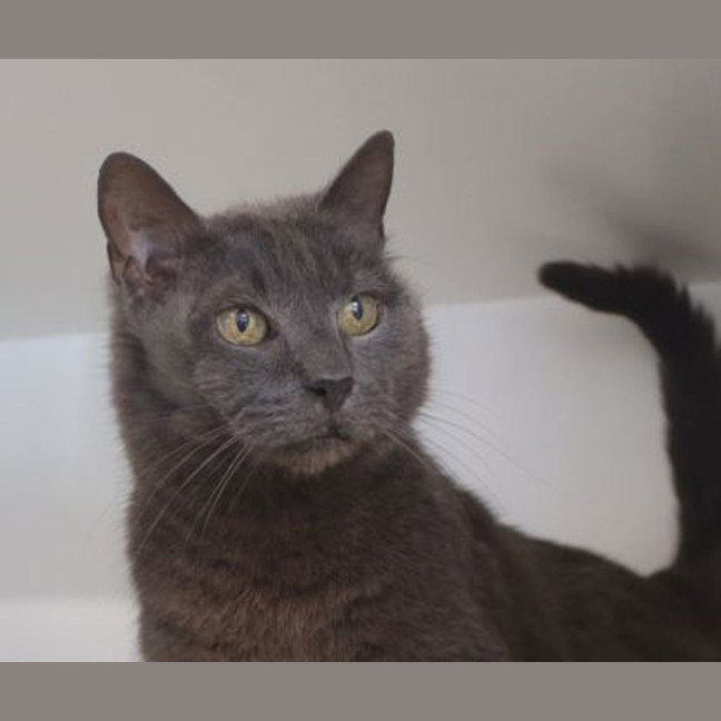 Photo of Ethel