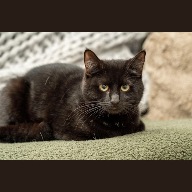 Photo of Freddy Mc Claw