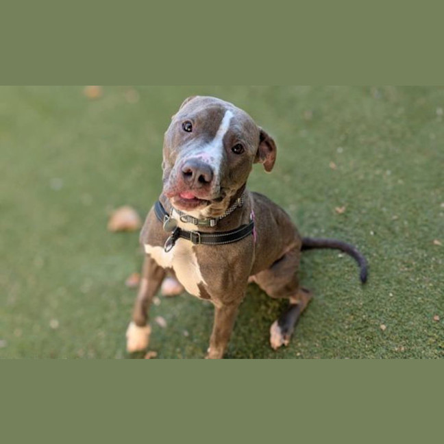 Photo of Mr Darcy