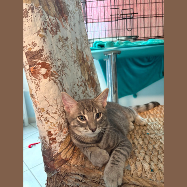 Photo of Sterling