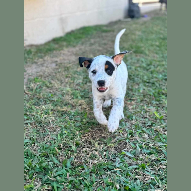 Photo of Peggy