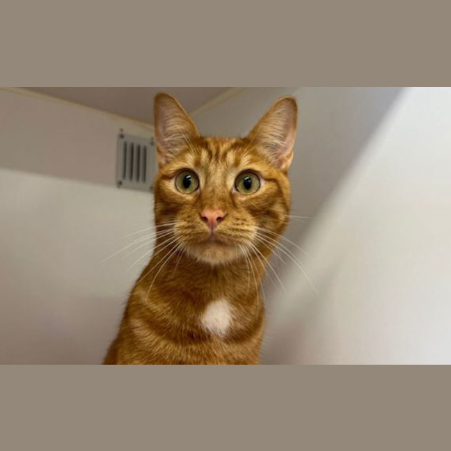 Photo of Bert