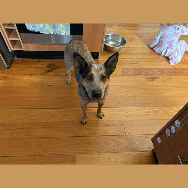 Photo of Shelly