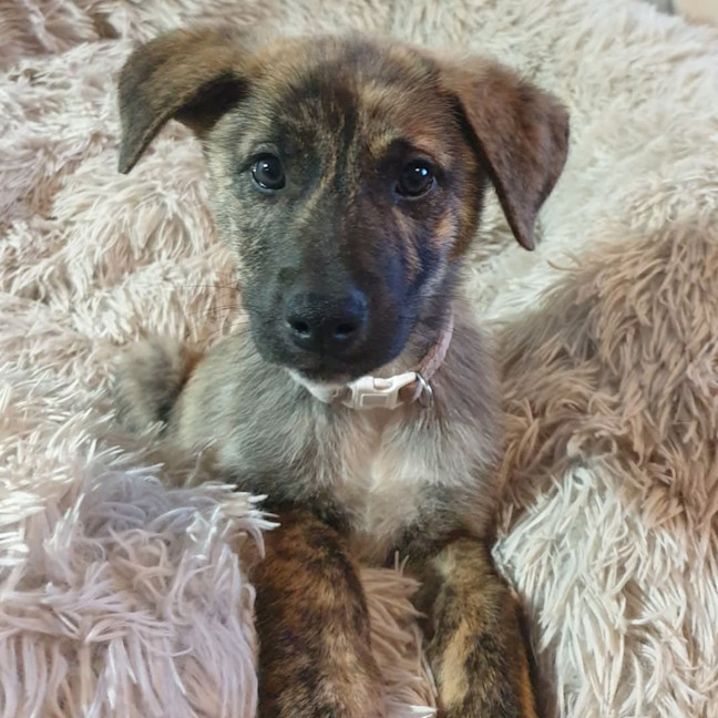 Photo of Missy Cooper