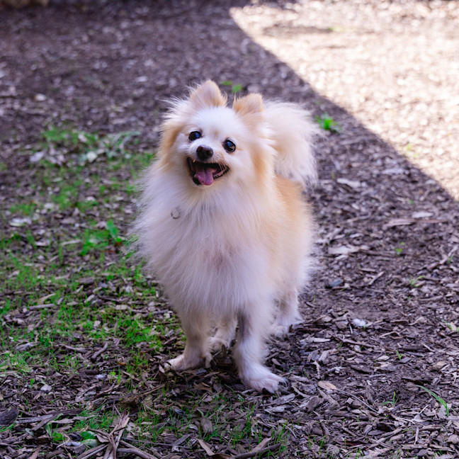 Photo of Bellatrix