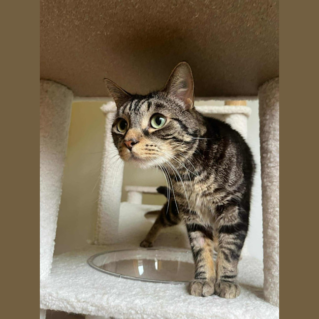 Photo of Jeff   In Foster Care In Doncaster East