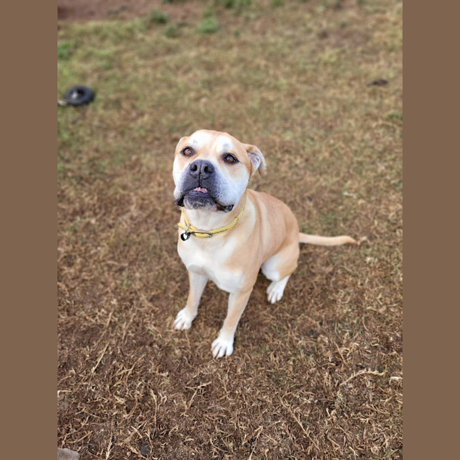 Photo of Jack