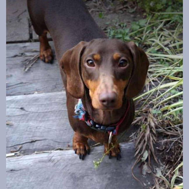 Photo of Bentley And Paulina