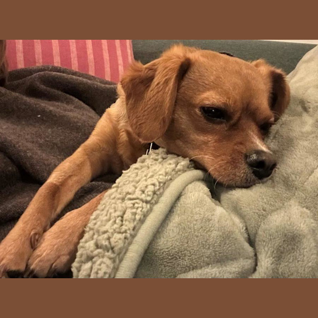 Photo of Toby Quinnell