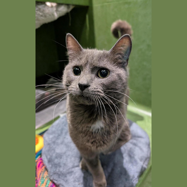 Photo of Mr Squiggle