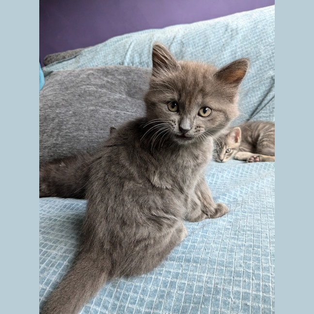 Photo of Storm