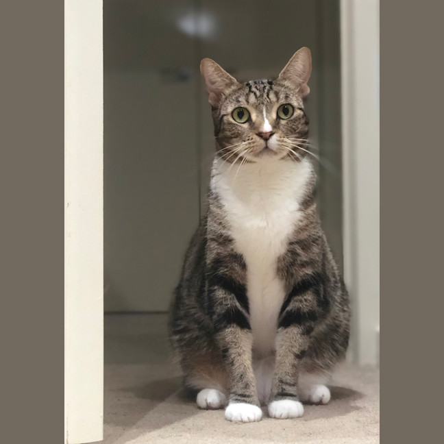 Photo of Athena