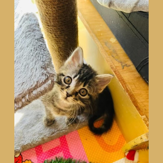 Photo of Taylah