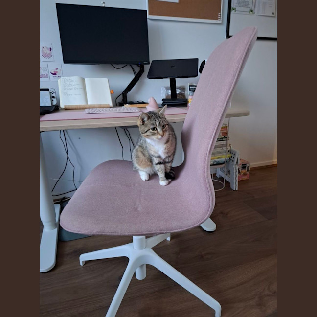 Photo of *Pending Adoption* Bryn