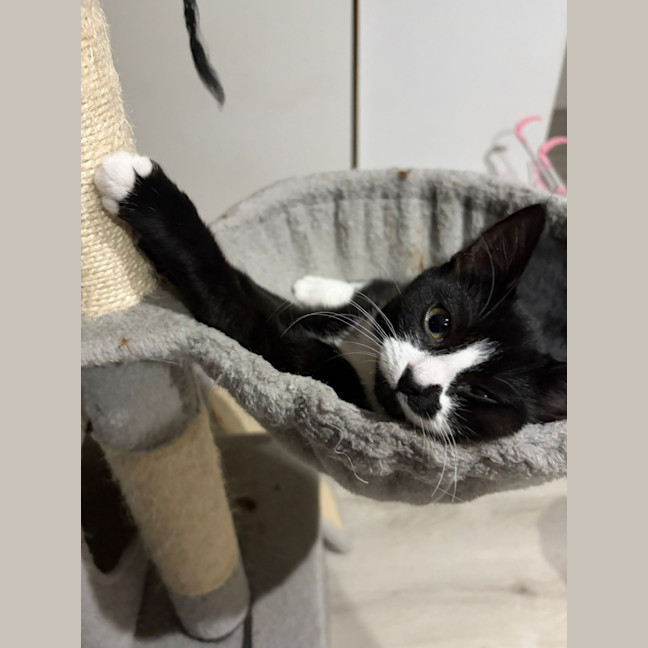 Photo of Sweet Cheeks