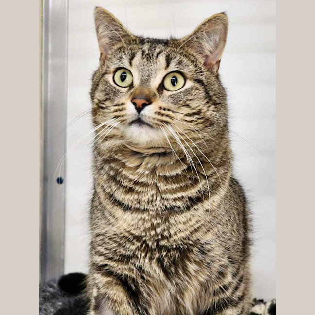 Photo of 😸 Clyde 5373😸