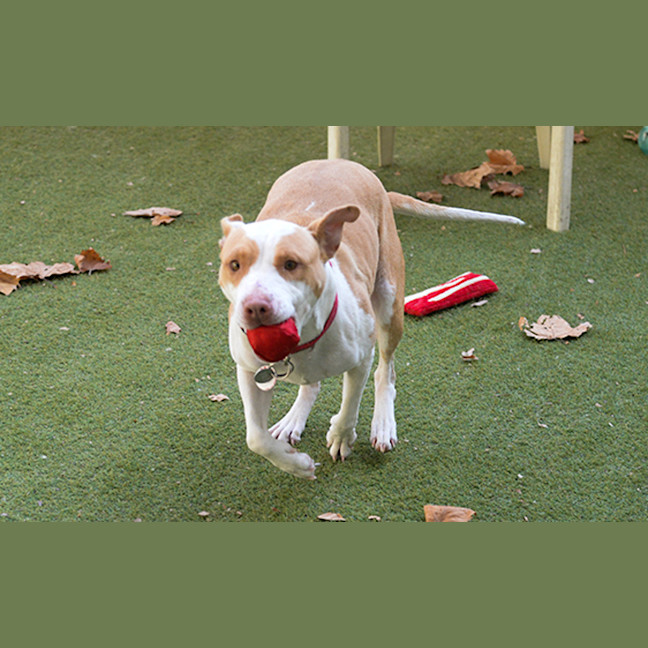 Photo of Darla