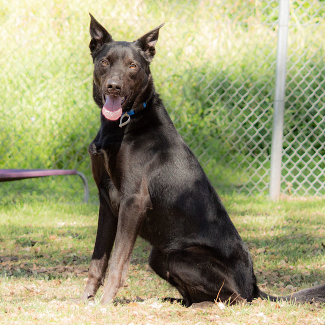 Photo of Hunter