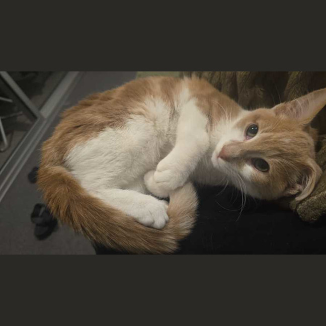 Photo of Bingo