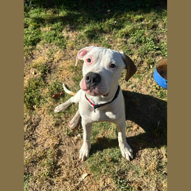 Photo of Molly