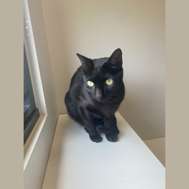 Photo of Buttons And Magic