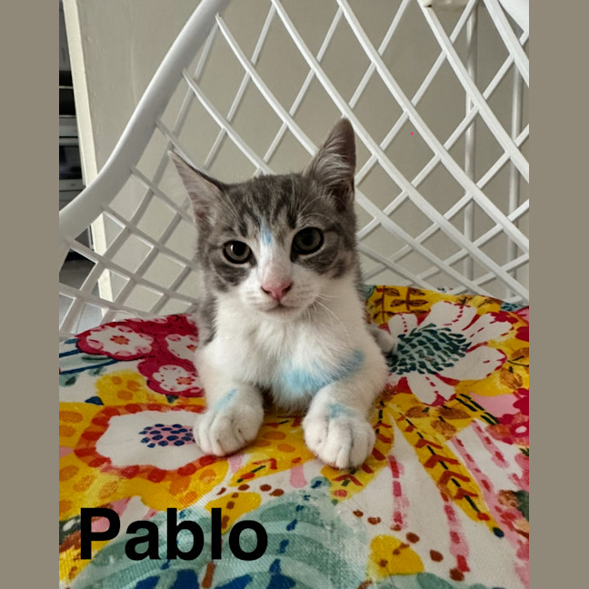 Photo of Dennis, Pablo, Picasso And Henry Ii