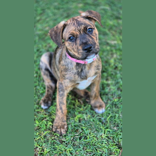 Photo of Sugar