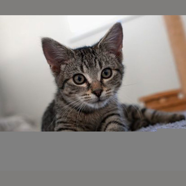 Photo of Walter