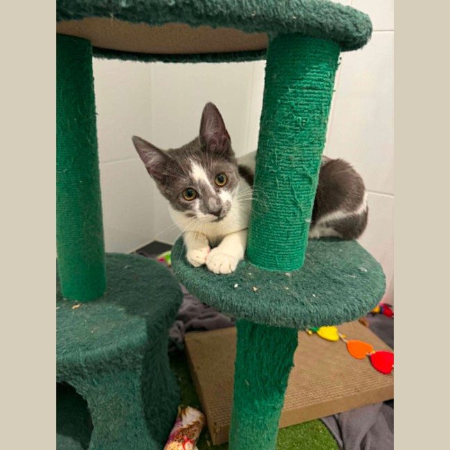 Photo of Jemima 