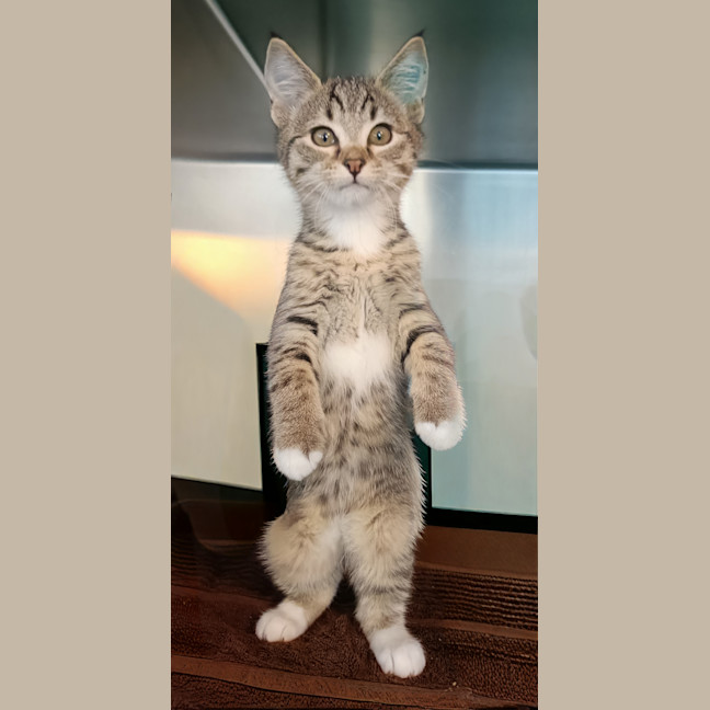 Photo of Catricia