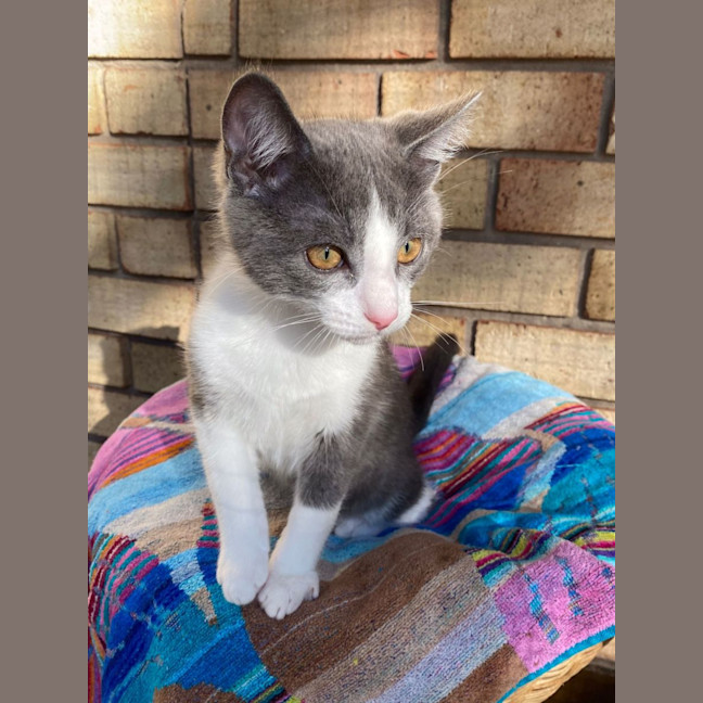 Photo of Jasper