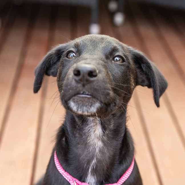Photo of Winnie