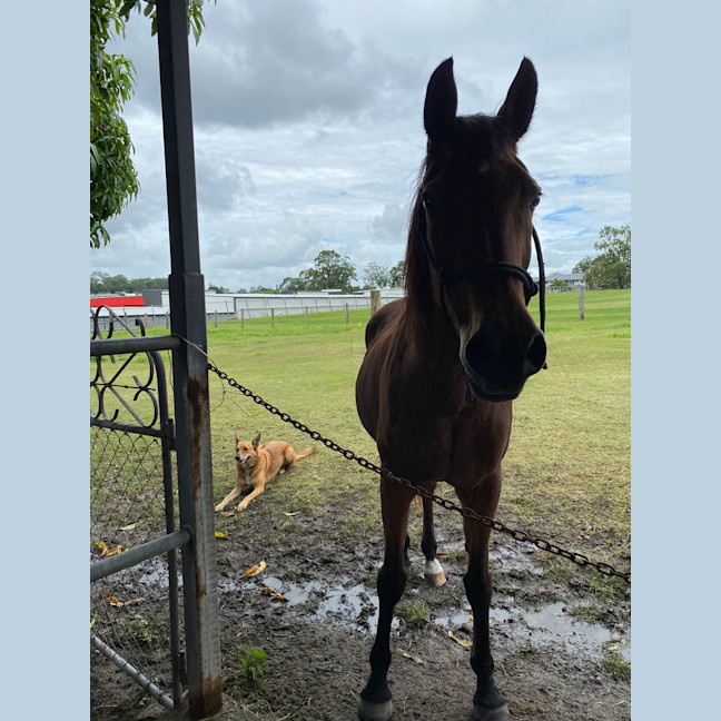 Photo of Delilah