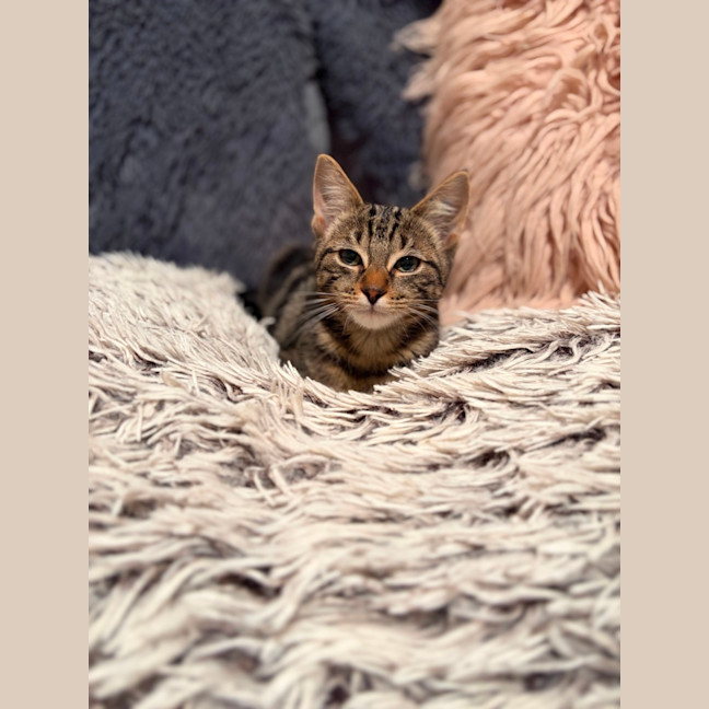 Photo of Dude