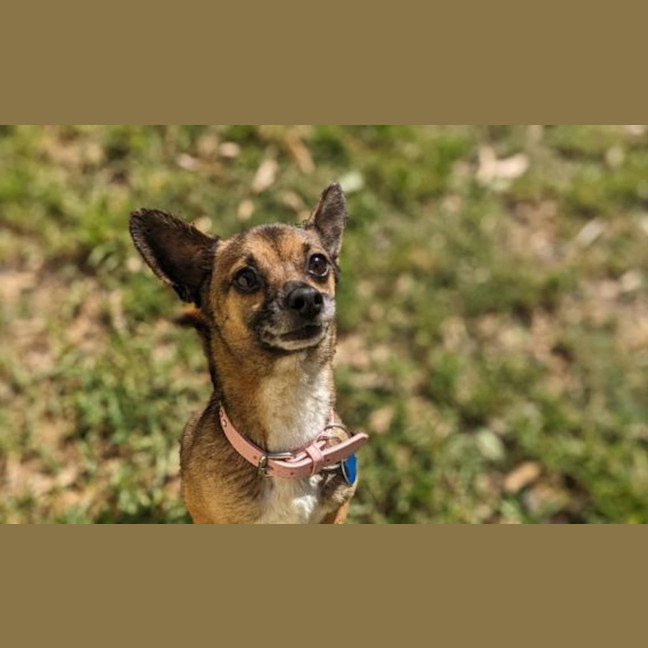 Photo of Charlie