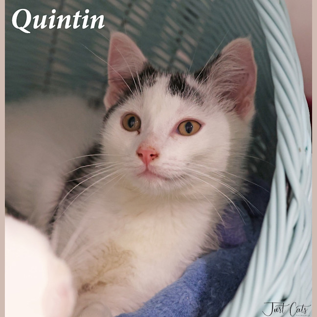 Photo of Quintin