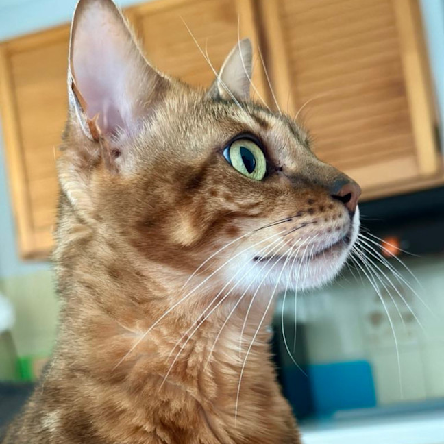 Photo of Ryanne 