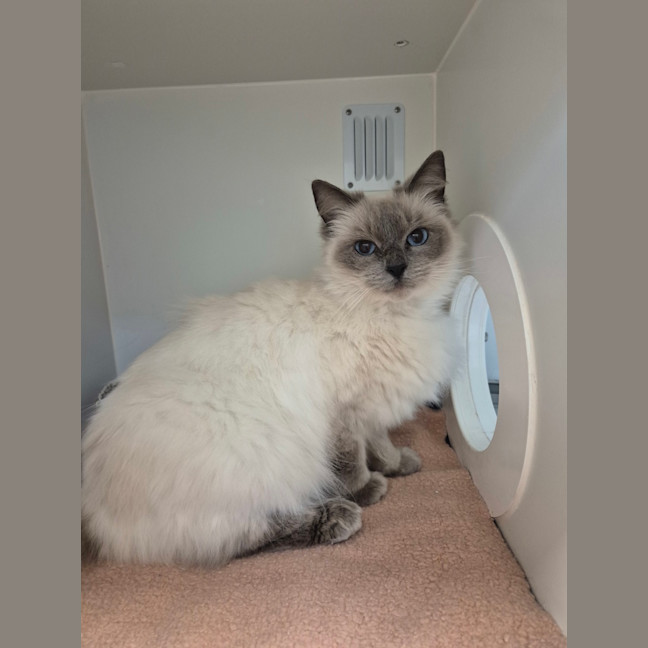Photo of Lucy