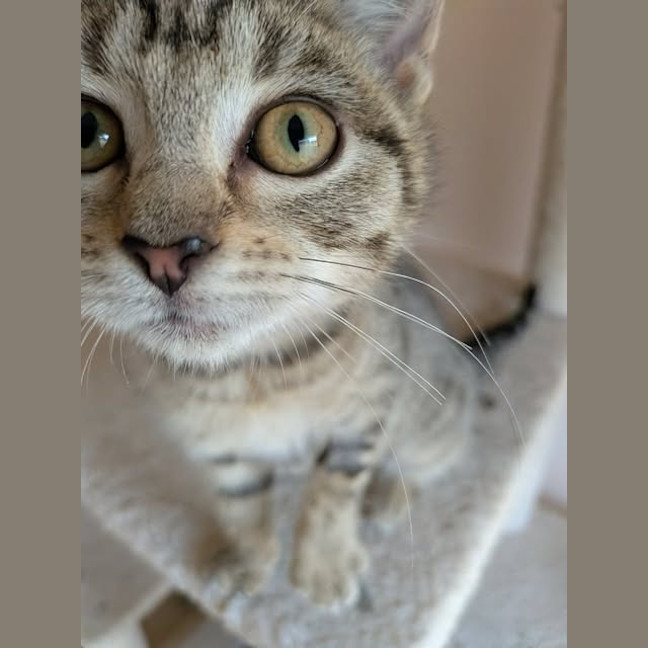 Photo of Kyla
