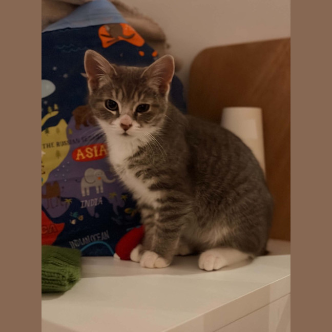 Photo of Pocket