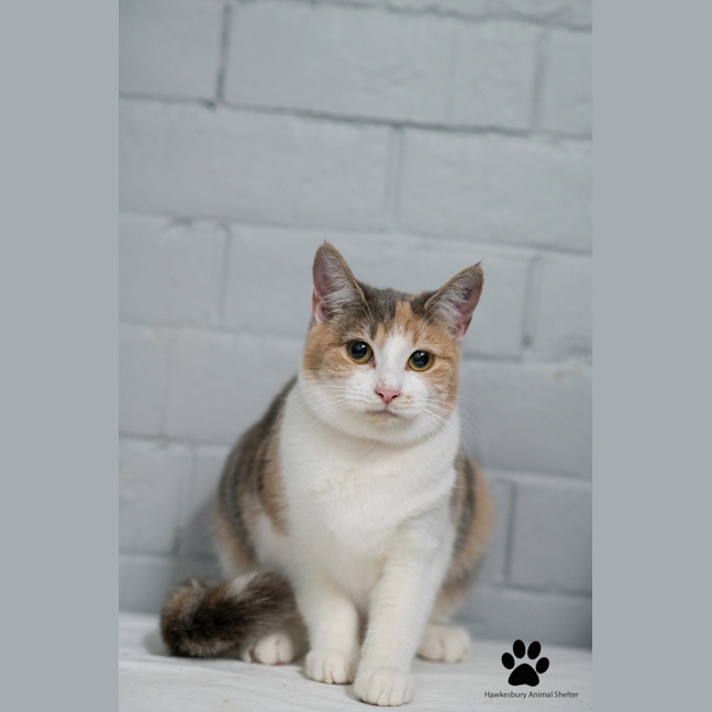 Photo of Daisy