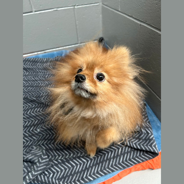 Photo of Max