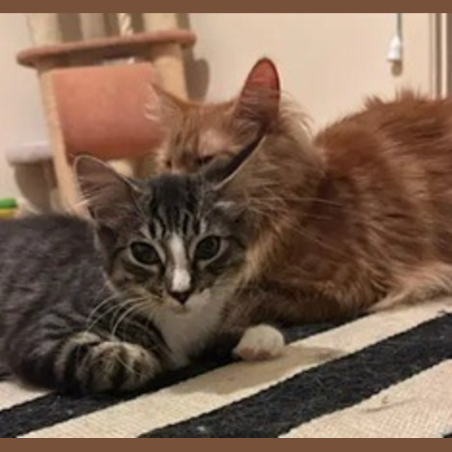 Photo of Calypso