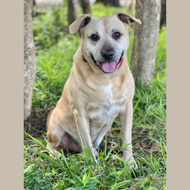 Photo of Jax