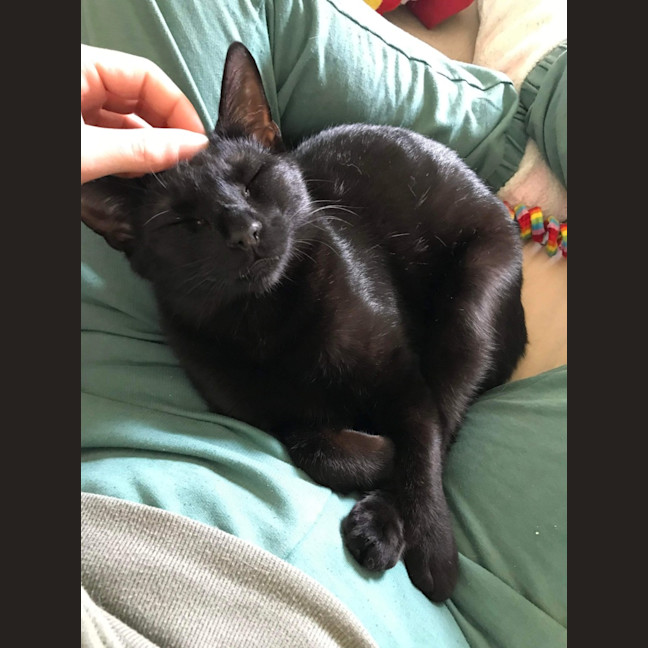 Photo of Eddie & Akira